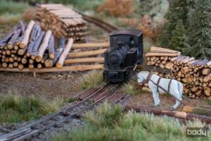 TTe_Rokytnice_2025_002